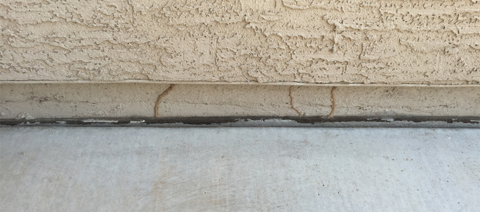 Termite Mud Tubes